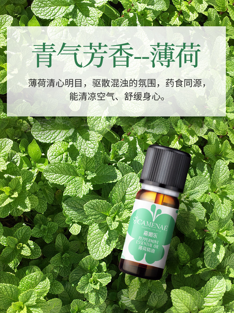 精油嘉媚乐薄荷10ml黑头毛孔香薰单方轻松面部单方精油