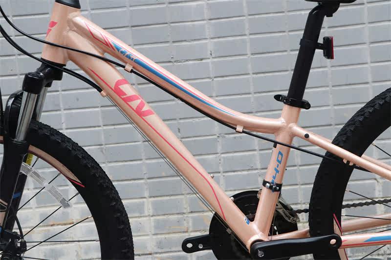 捷安特livcate24-d2碟刹避学生儿童山地自行车女孩山地自行车