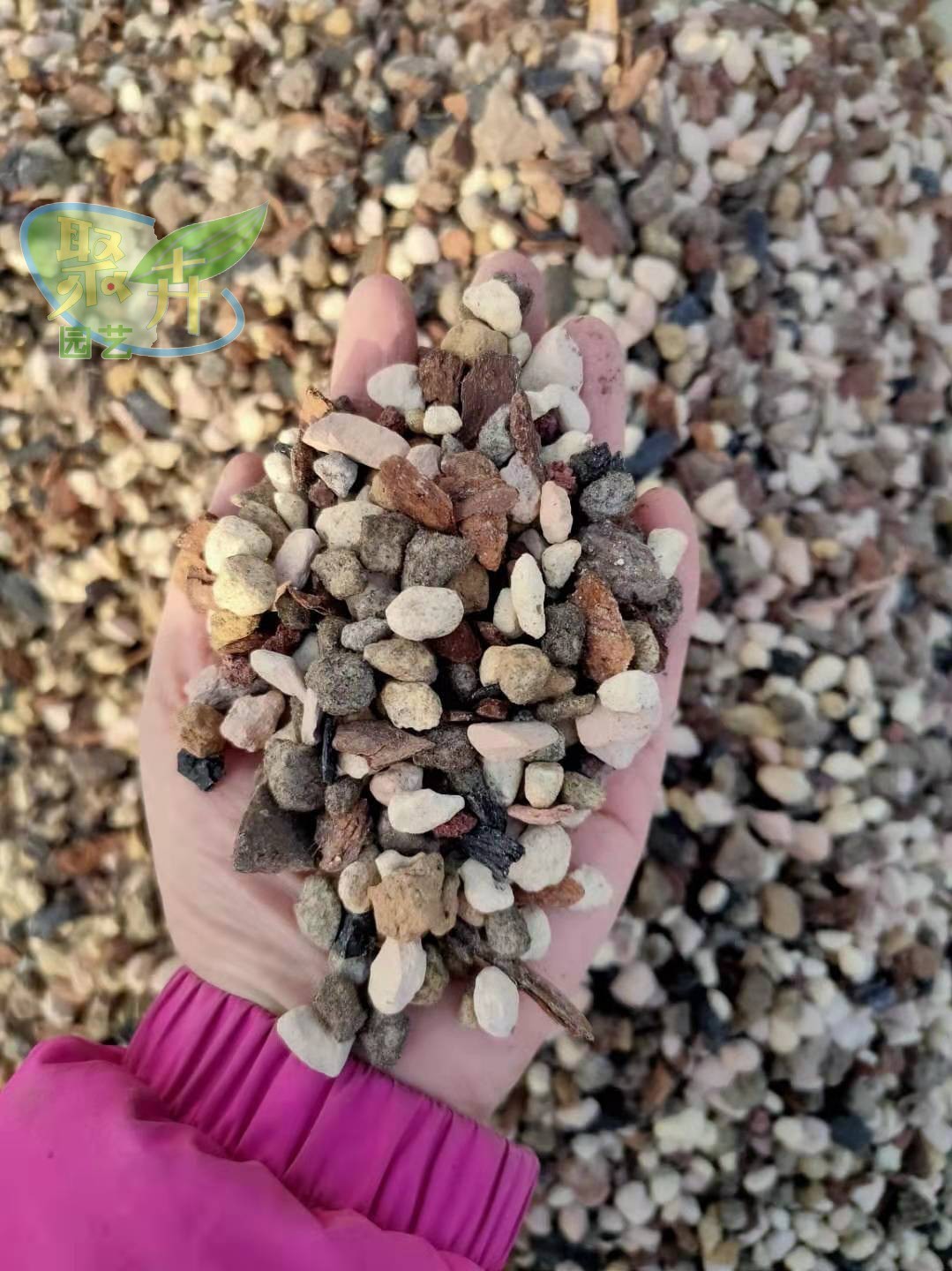 贾姐给顾客配的兰花专用配方土效果不错全颗粒兰草土5斤包