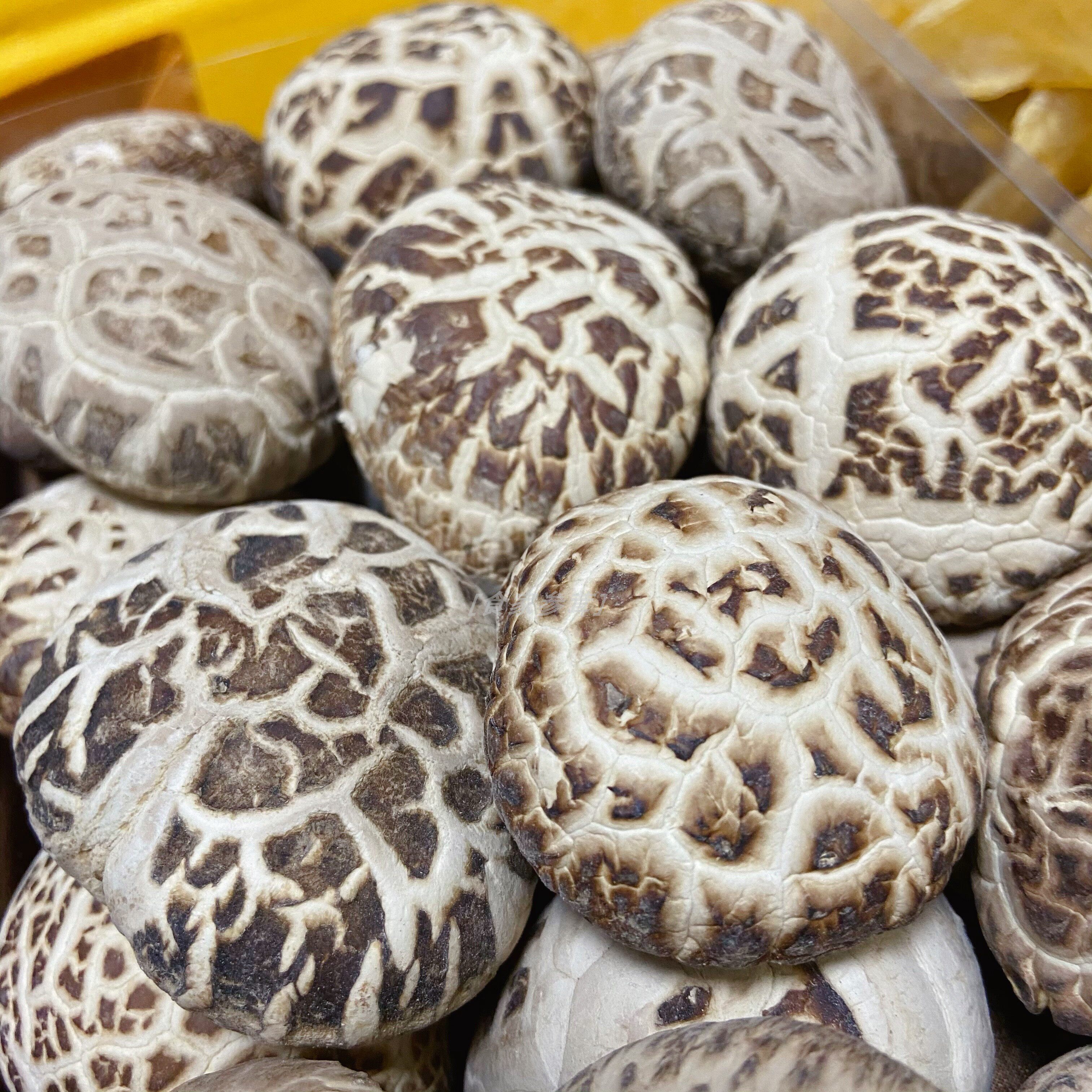 礼盒送礼花胶佳品150克优质白花菇花菇厚肉足干花胶