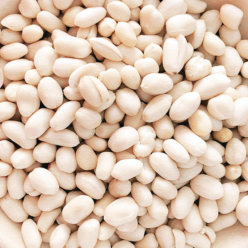 花生脱皮烘焙饭店汤饭店醋泡凉拌整颗大粒纯生花生