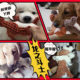 Dog toys molar sound bite resistant artifact Corgi puppy dog boredom plush golden retriever large dog pet supplies Dog toys molar sound bite resistant artifact Corgi puppy dog boredom plush golden retriever large dog pet supplies