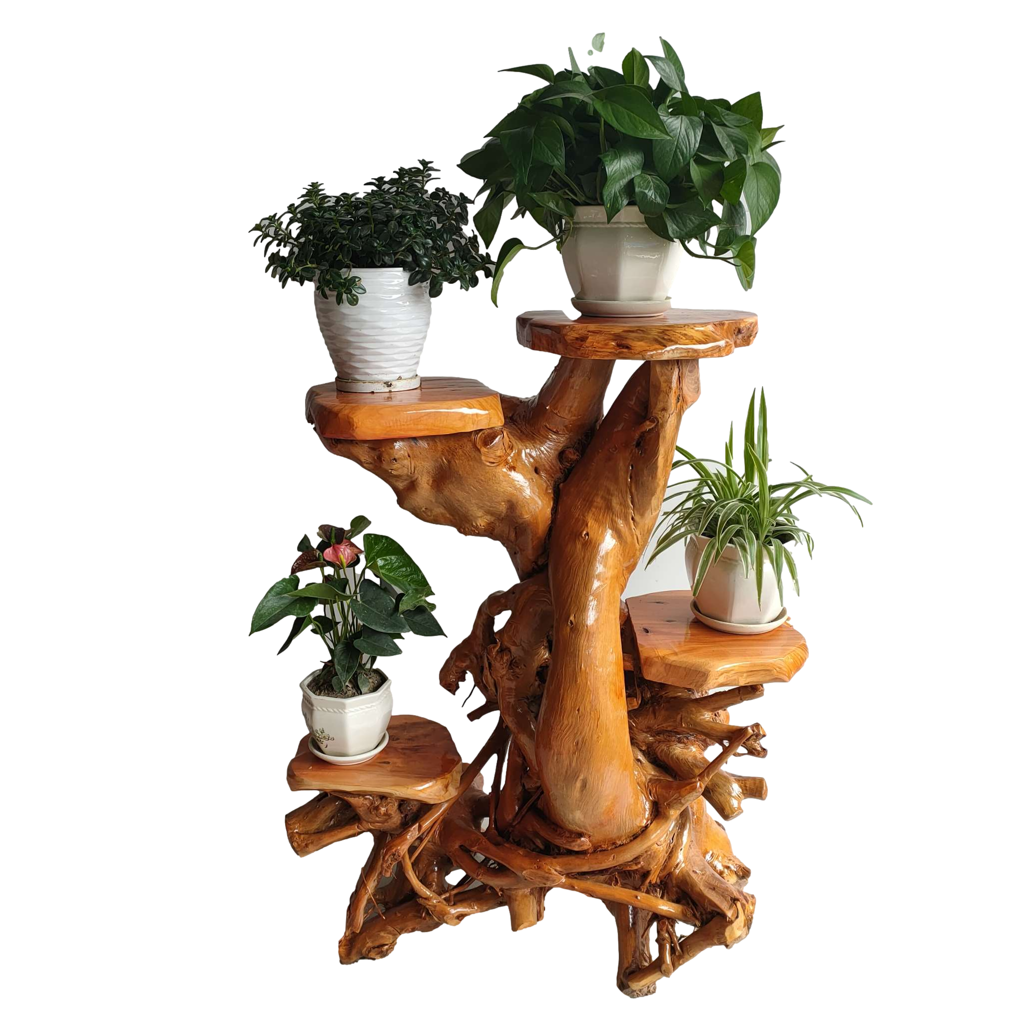 天然树根根雕花架实木客厅多层绿萝盆景鱼缸根雕花架