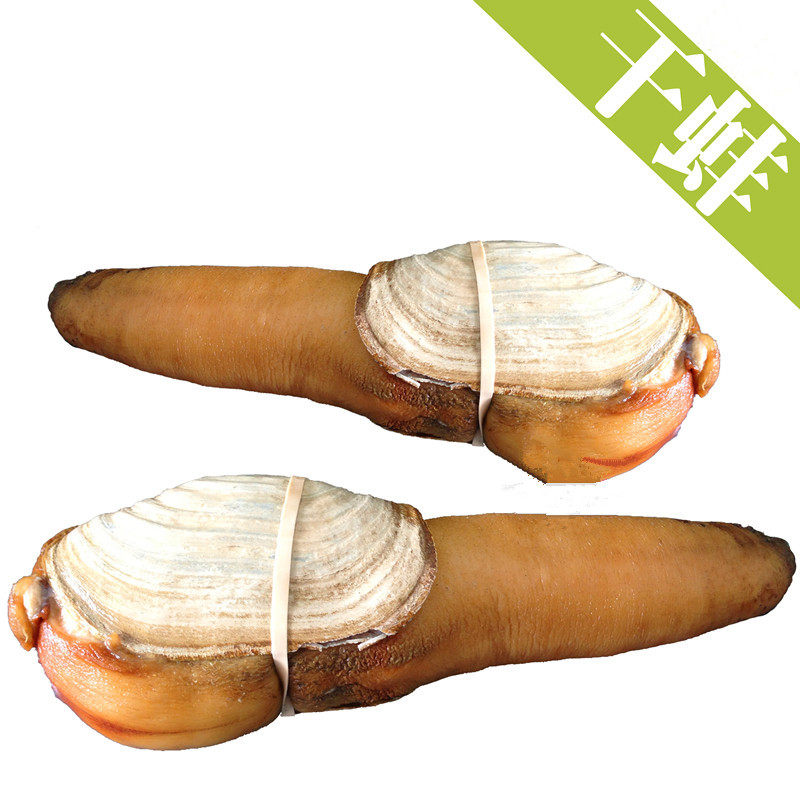 加拿大进口鲜活海鲜水产 象拔蚌 干蚌 白蚌 一条 约1到5斤 热卖