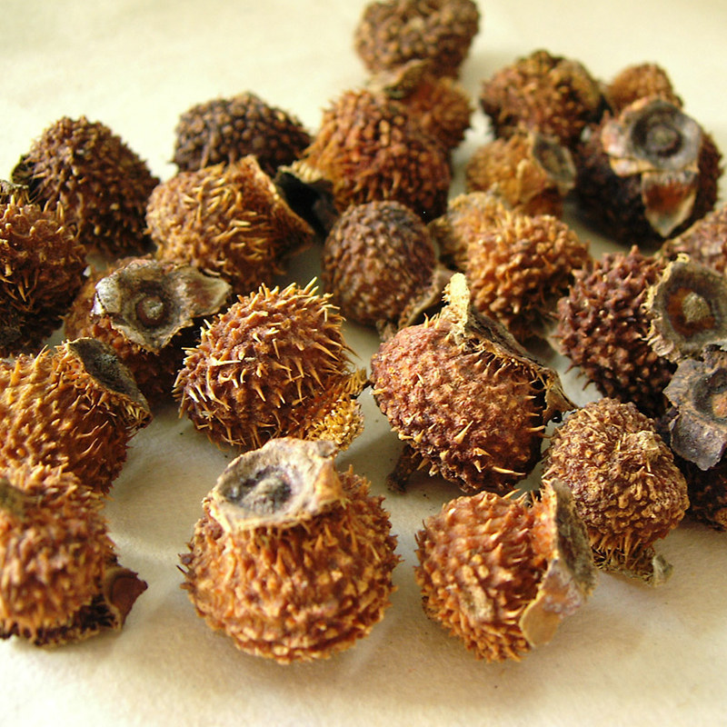 费贵州特产 贵州野生刺梨干果500g贵州刺梨泡刺梨酒刺梨茶刺梨干 费