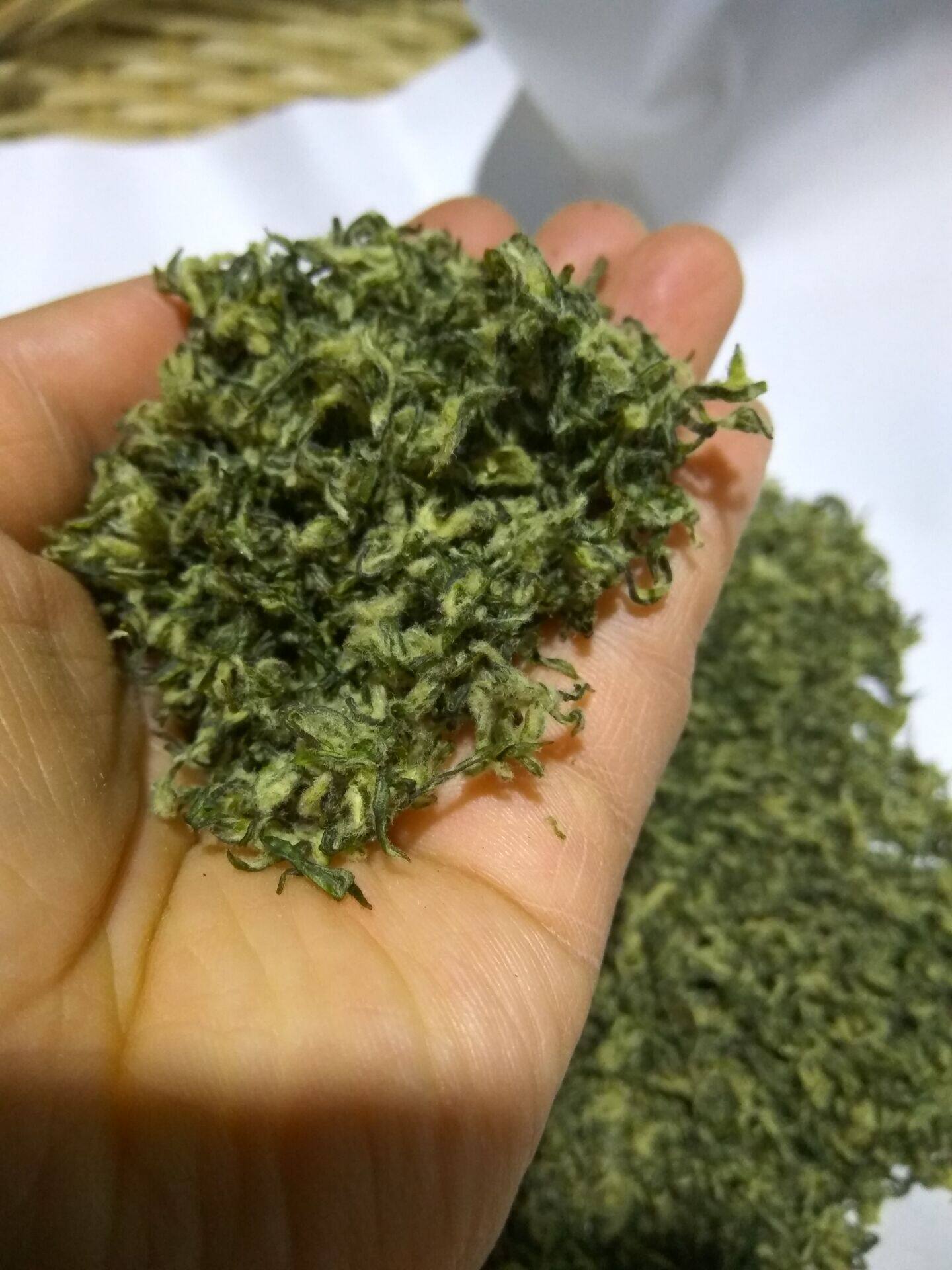 茶农直销2022新茶苏州东山洞庭碧螺春绿茶特级全牙尖手工炒制25克