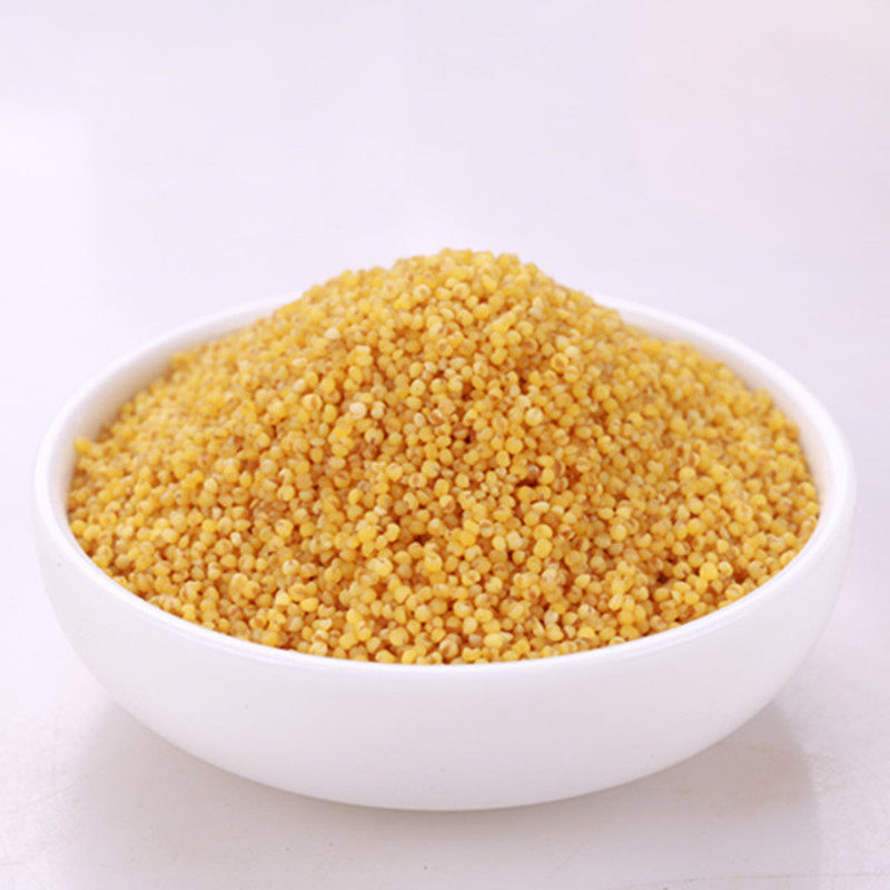 小米陕北黄小米米宝宝月子延安新鲜2020年谷米品种小米