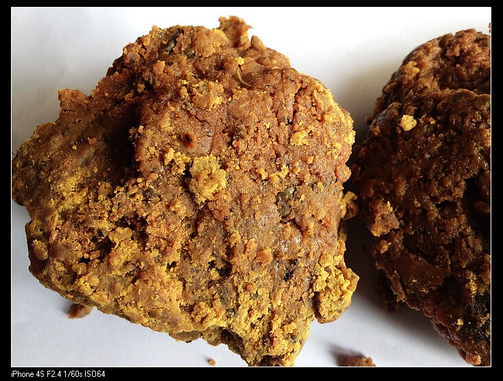 臭阿魏新疆阿魏胶钓鱼纯阿魏脂 分泌物阿魏酒窝料饵料配方100g包