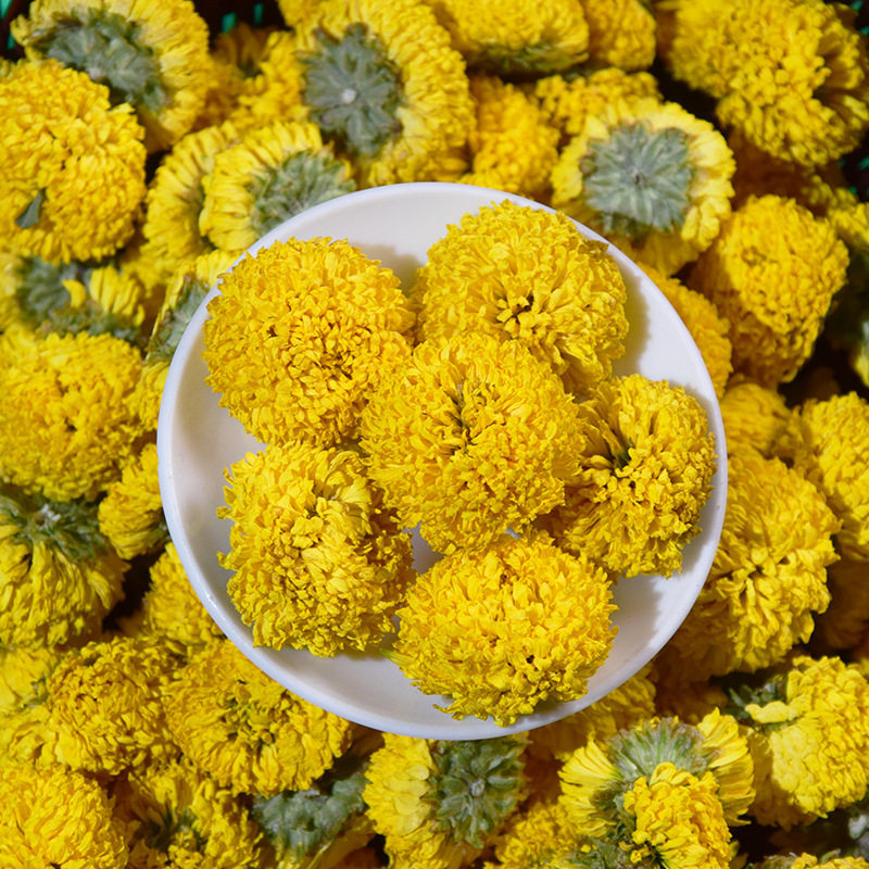 黄菊花茶特级一杯一朵正品黄山贡菊散装婺源代用