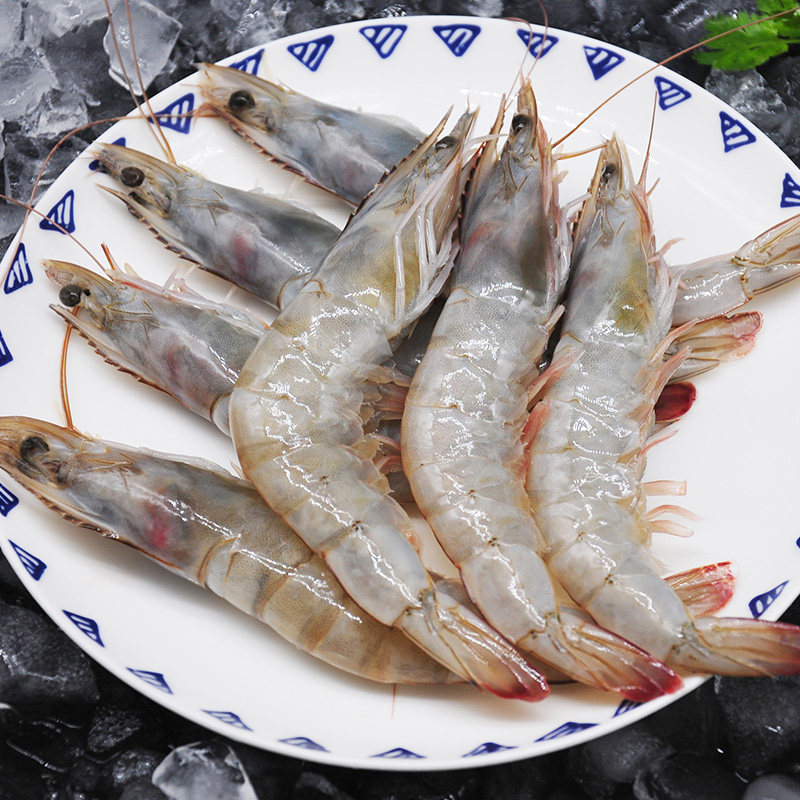青岛大虾新鲜鲜活超大基围特大青虾白虾冷冻冻虾