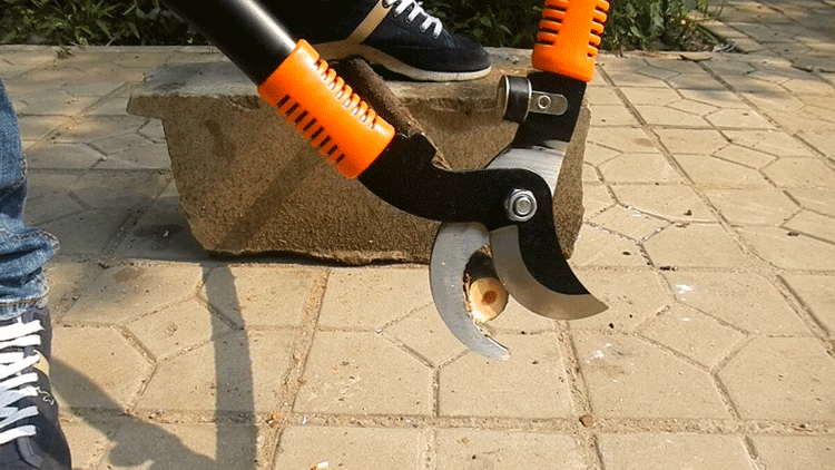 进口锰钢省力粗枝剪修修剪高枝果树枝大力鸟嘴剪刀