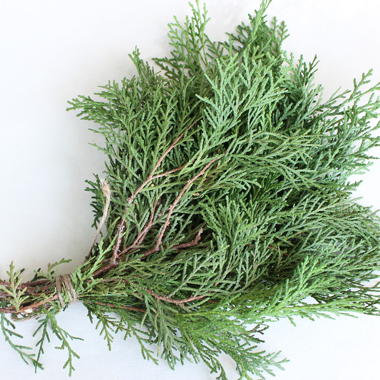天然绿色松柏柏枝松针圣诞节花环圣诞树手作材料干花