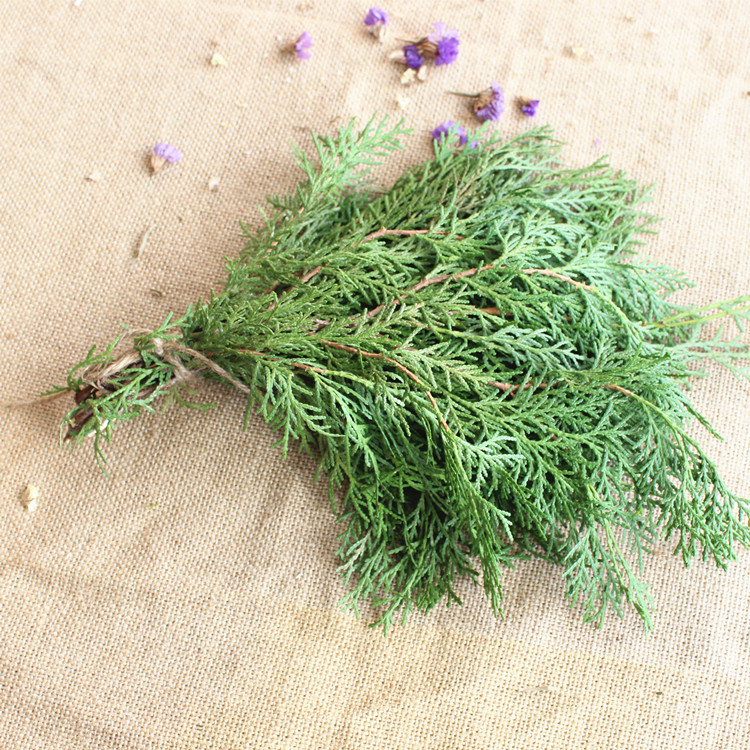 天然绿色松柏柏枝松针圣诞节花环圣诞树手作材料干花