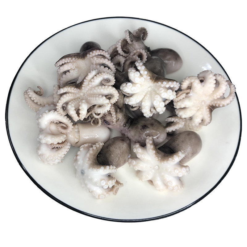 不缩缩水半熟八爪鱼鲜活急冻迷你章鱼头大海兔冷冻章鱼