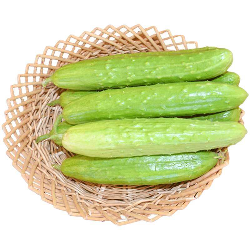 黄瓜奶油种子水果种籽高产春秋籽种大全四季家庭园艺种子