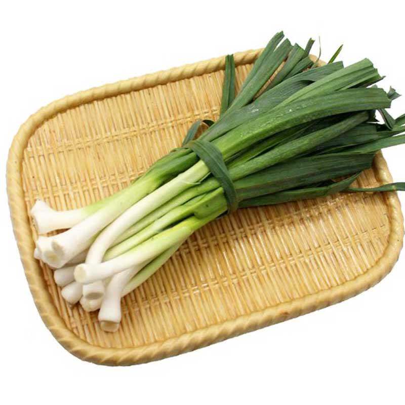 青蒜种子子洋蒜籽花旗韭葱大蒜蒜苗阳台种菜家庭园艺种子