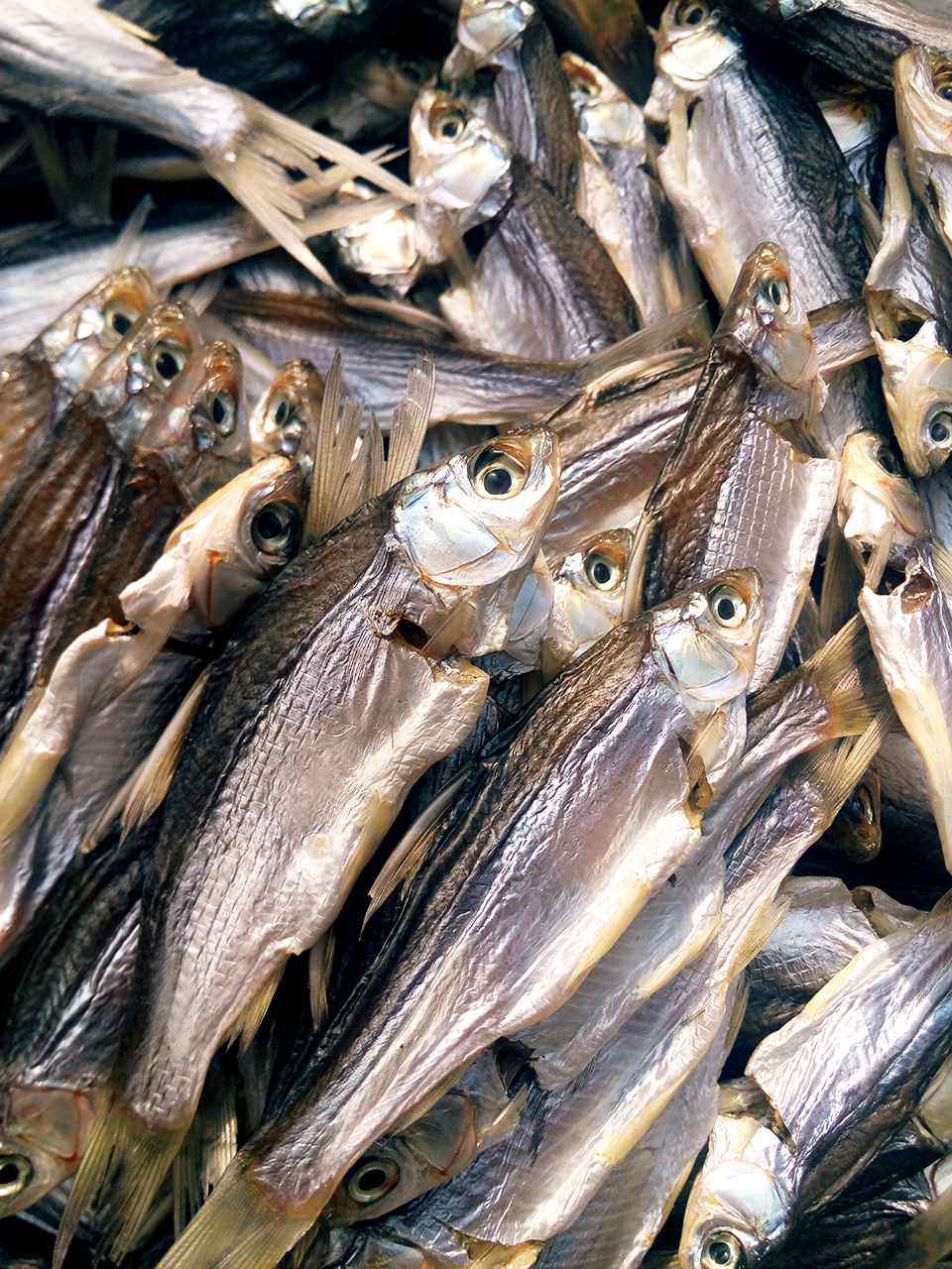 绍兴铲鱼野生子鱼干货咸鱼新货风干淡水翘嘴鱼干