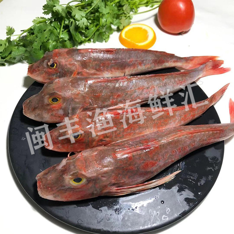 丰渔东海野生新鲜飞鱼500g海鲜水产红角深海其它