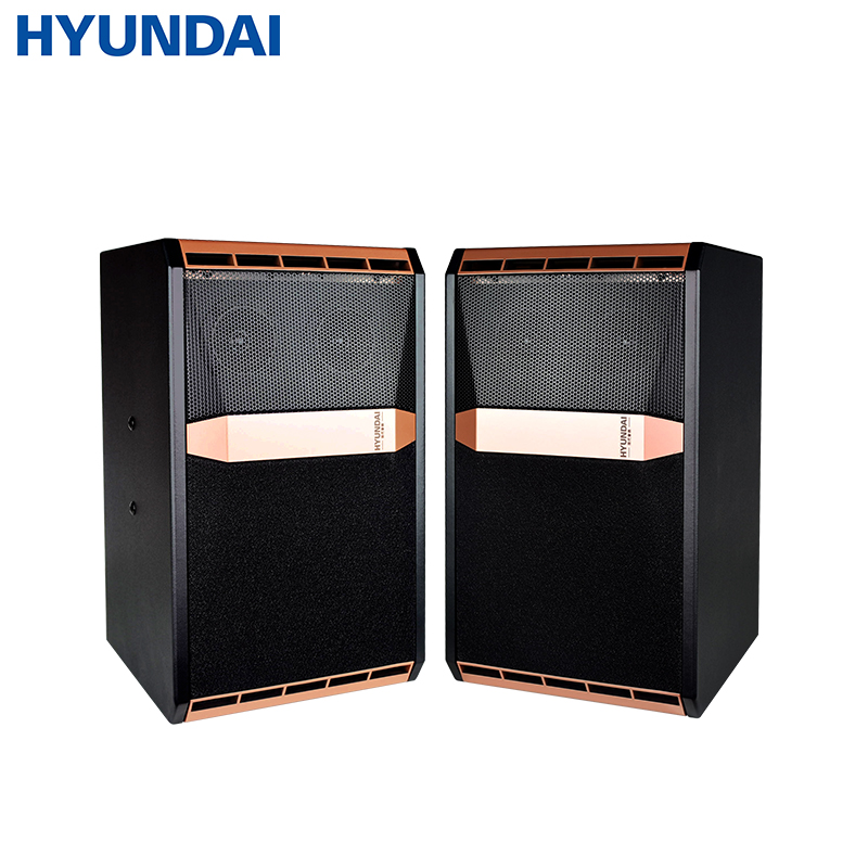 hyundai现代hy910h10寸卡包音箱ktv音响组合套装ktv