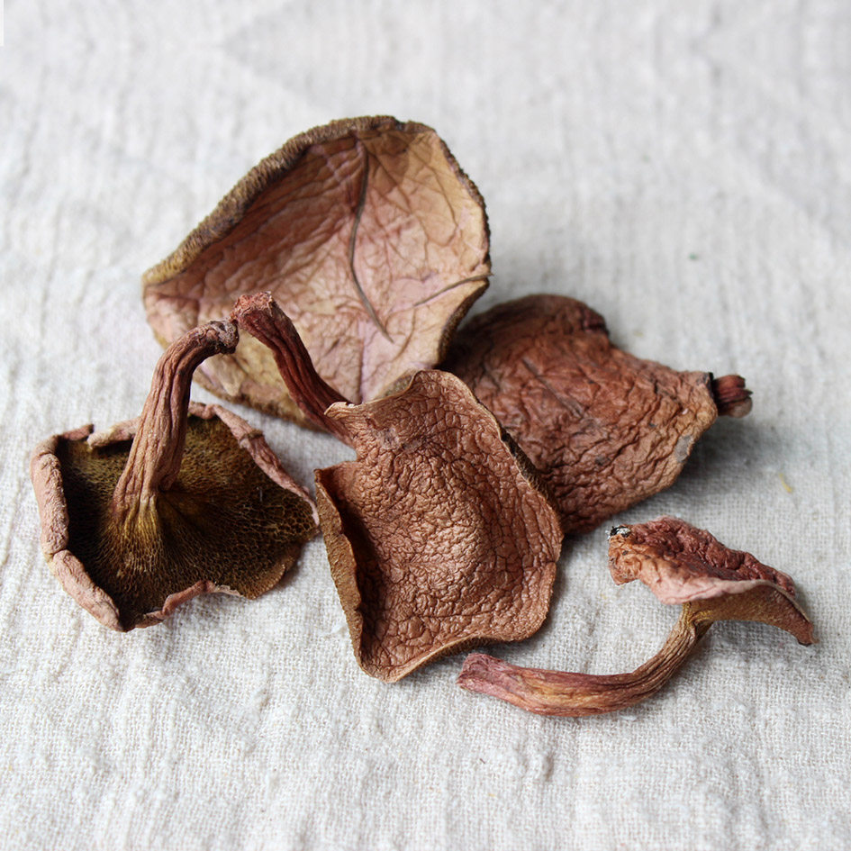 红乳野生哀牢山牛肝菌干货蘑菇火锅500克香菇类