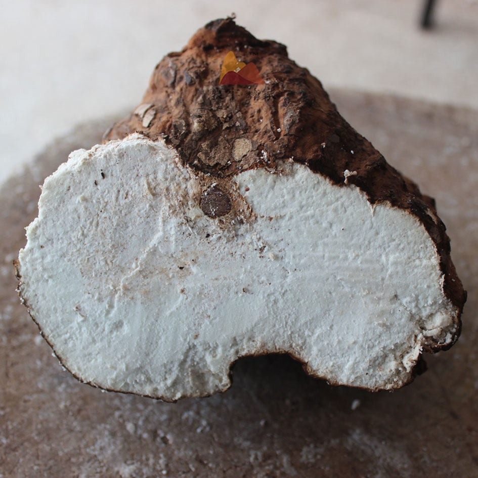 茯苓云南中药材500克可打丁片正品白茯苓苓块糕饼茯苓