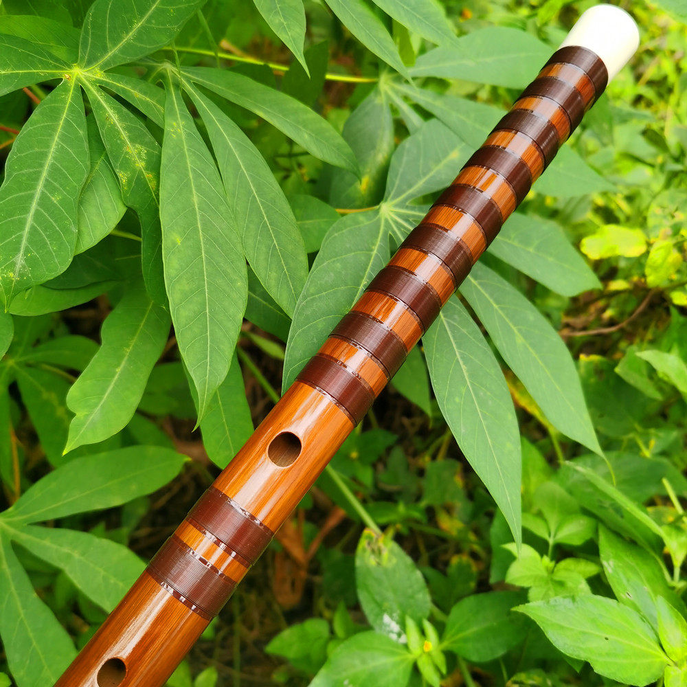 凡乐臻品品大笛子专业考级演奏苦竹可看三哥笛子