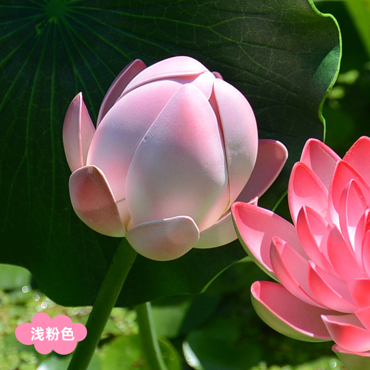 长枝带杆高仿真仿真荷花花苞花骨朵水池装饰落地仿真绿植