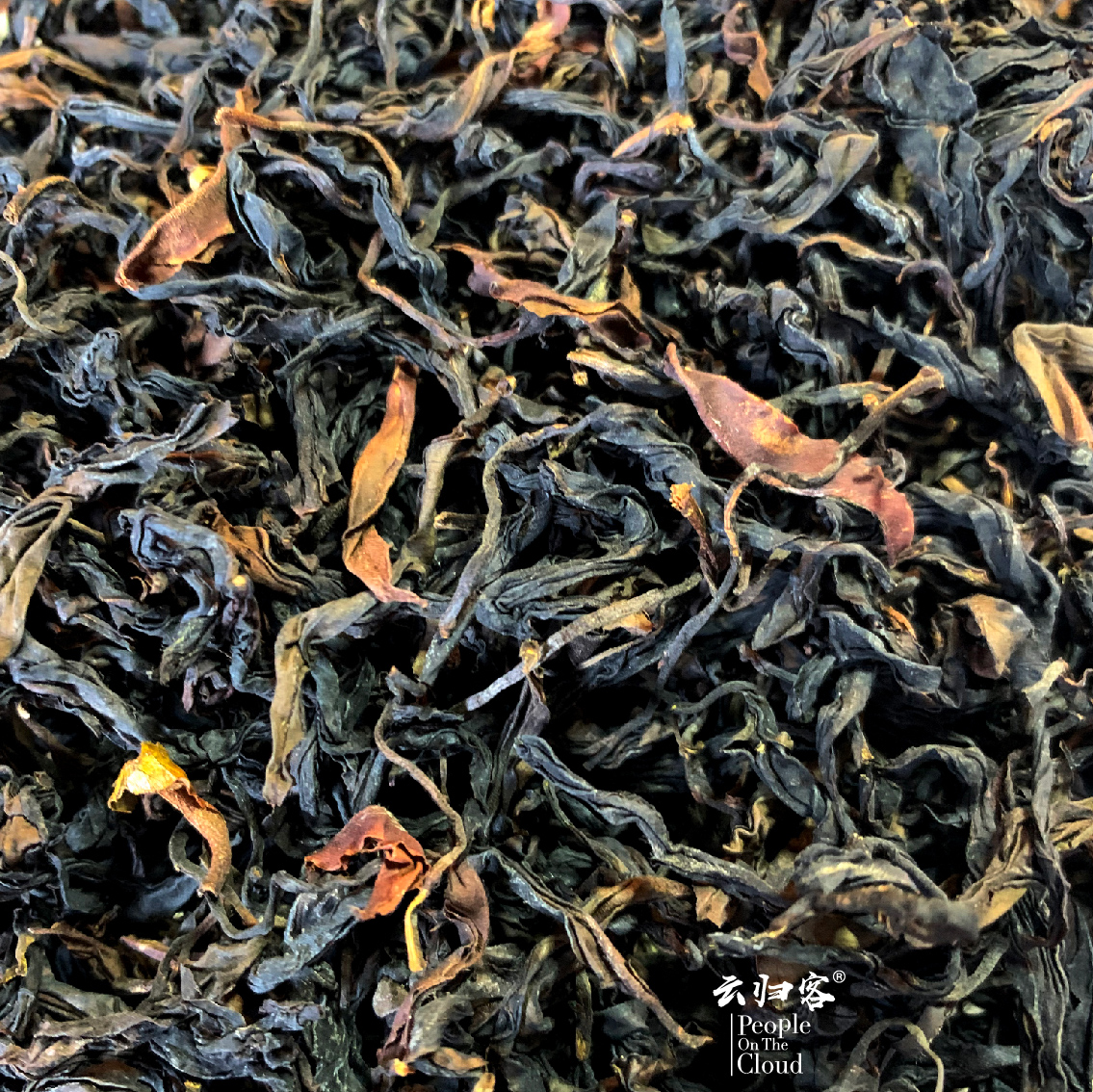 野生归客云南滇红凤庆300年古树晒红山野韵香滇红