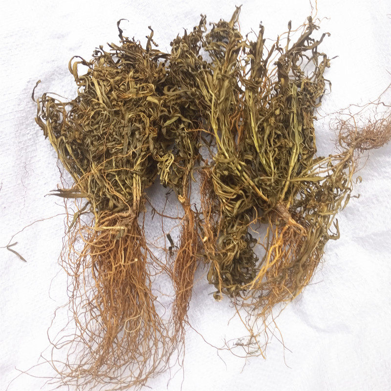 水灵芝正品中药材新货纯净黄连鱼胆100克包邮其他药食同源食品