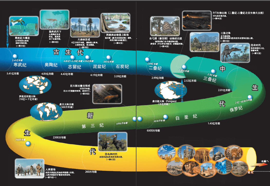 正版 地球简史图解版 宇宙大爆炸揭秘地球生命的形成与演化 中小学生