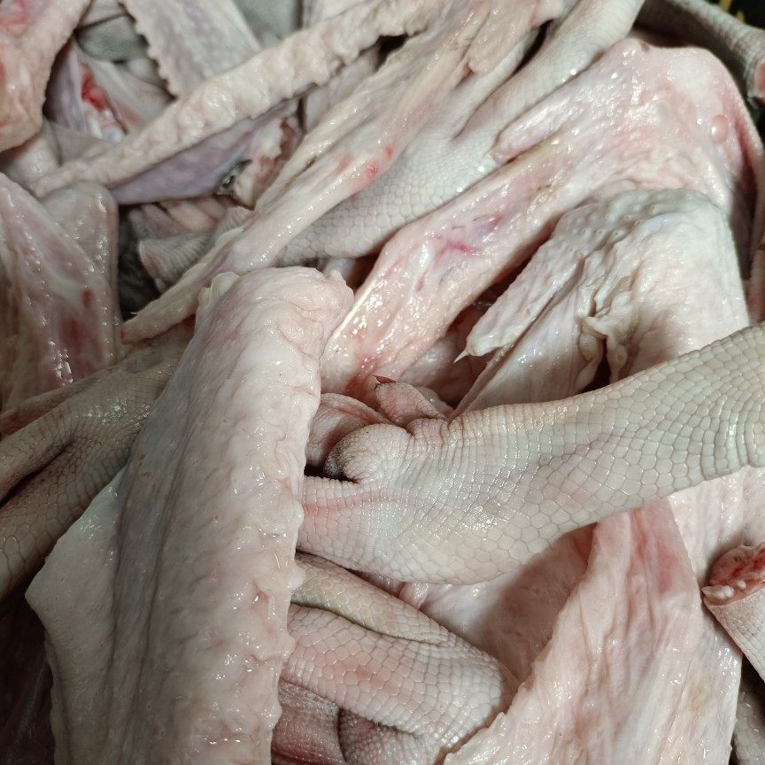 鹅掌5斤正宗广东清远棕鹅新鲜脚翅肾珍肝发鹅肉