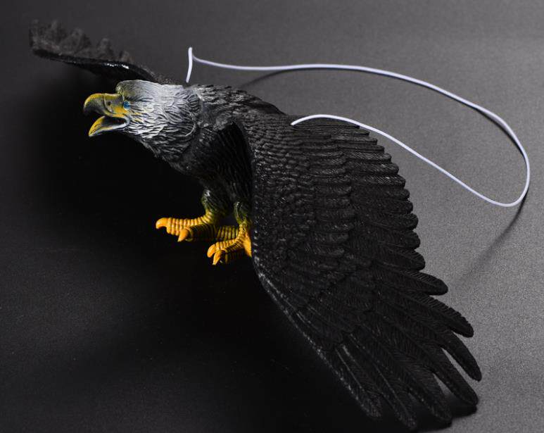 模型包邮仿真儿童益智玩具老鹰非洲山雕认知摆件仿真