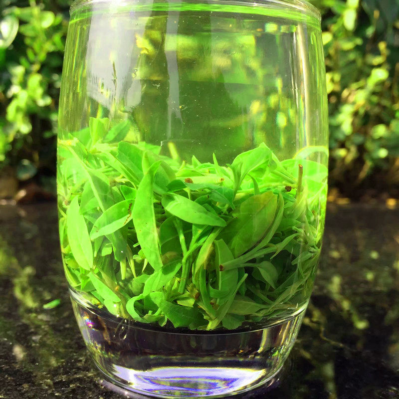 小叶苦丁茶 青山绿水500g 包邮 2021新茶叶四川峨眉山苦丁茶 - 爱购网