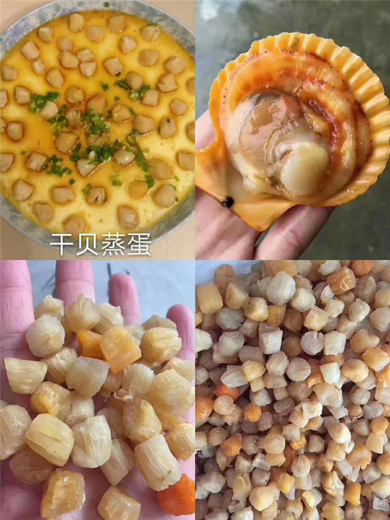 霞浦海鲜干贝渔家自晒瑶柱元贝丁扇贝包邮250克干贝