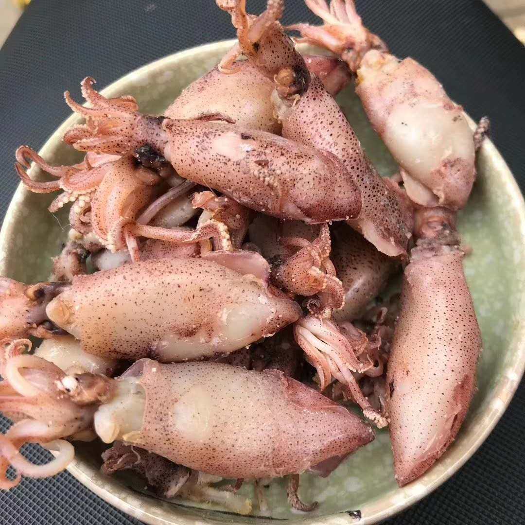 新晒海兔野生乌贼湛江鱿鱼筒带小墨鱼笔管500克鱿鱼干