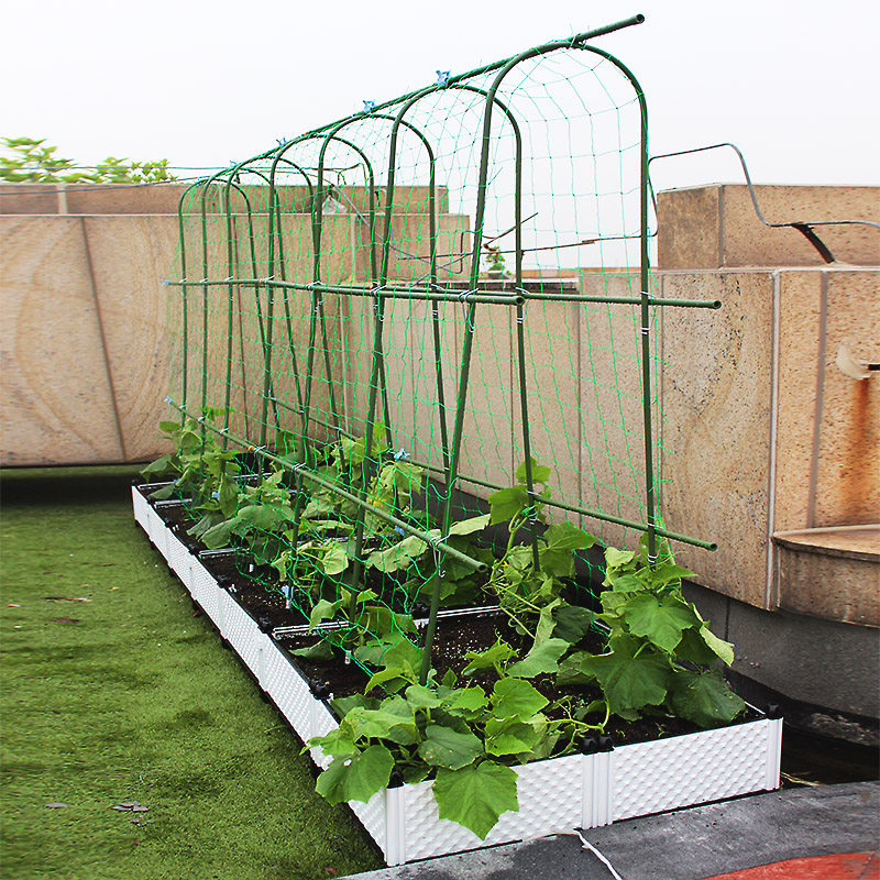 黄瓜架爬藤架园艺葡萄架拱形爬藤植物支架攀爬其它园艺用品