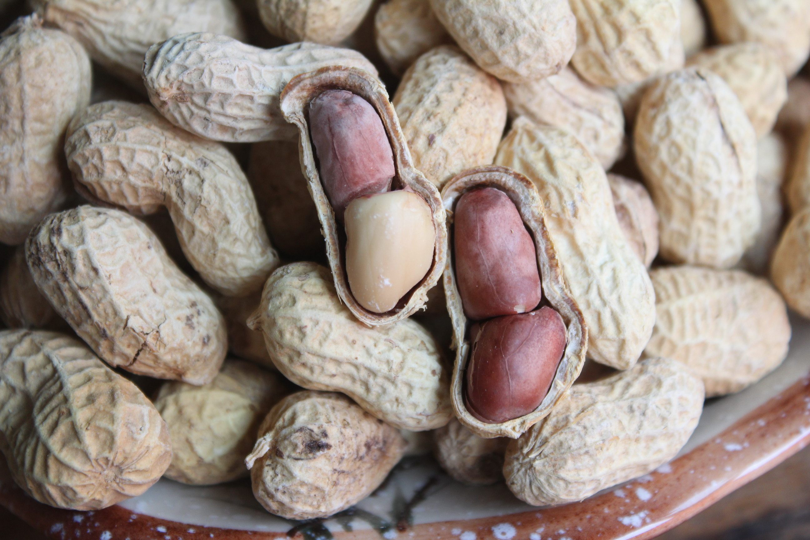 农家花生种植水煮白晒酸香咸干味带壳咸酥500g花生