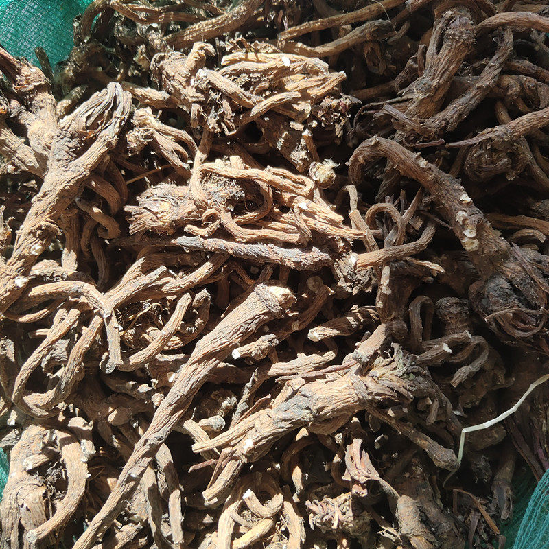 蒲公英500g晒干根太阳老根天然根茶丁天然婆婆新鲜养生茶