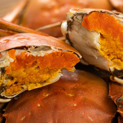 现货红膏固城湖全母蟹挑鲜活螃蟹10只水产礼盒顺丰大闸蟹