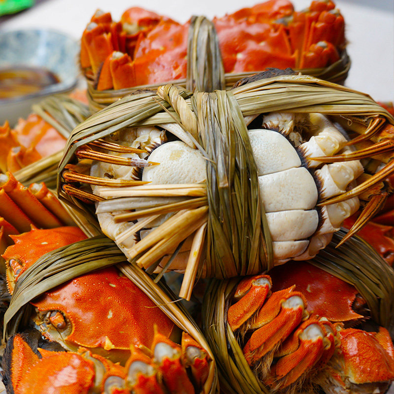 现货特大固城湖大闸蟹红膏螃蟹全母蟹全公蟹鲜活非兴化太湖大闸蟹