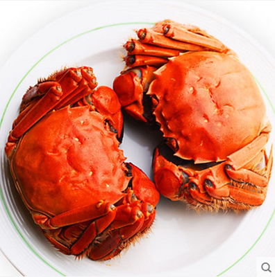 现货红膏大闸蟹全母蟹固城湖大闸蟹鲜活螃蟹10只礼盒团购顺丰包邮