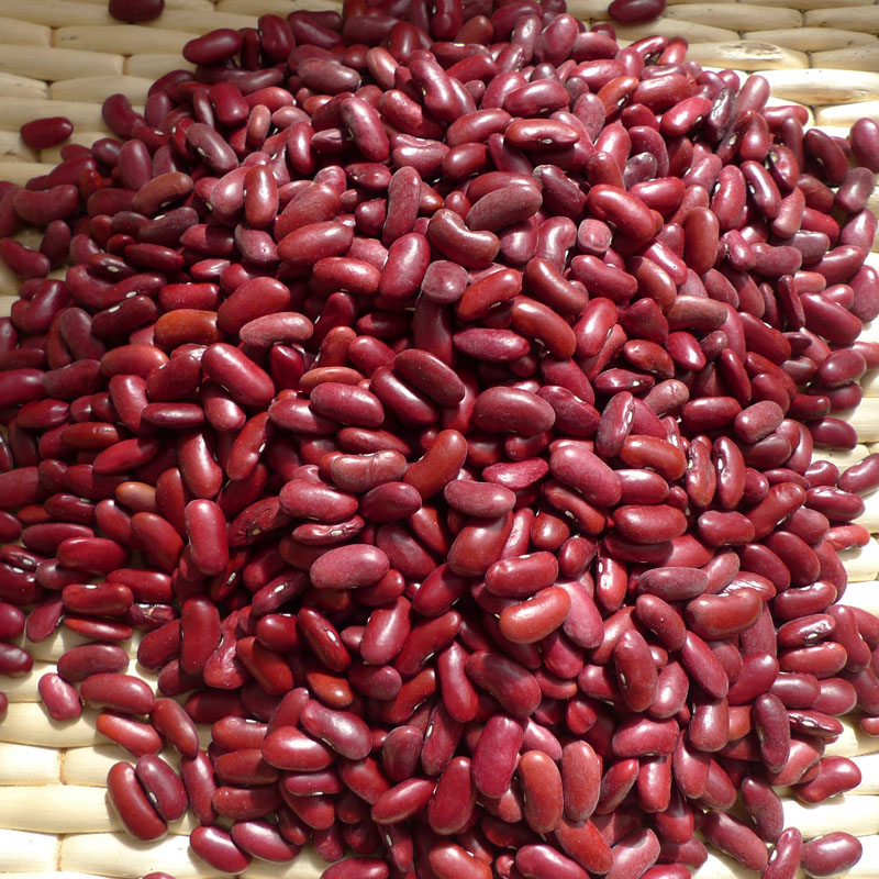 2021年红腰豆新货大红芸豆坝上大红豆豆馅甜品专用西餐甜点9斤
