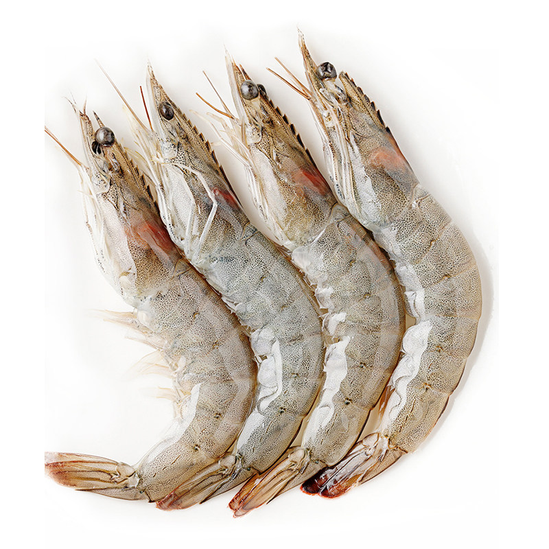 冷冻正大海鲜生冻南美美白对虾800g国产生鲜冻虾