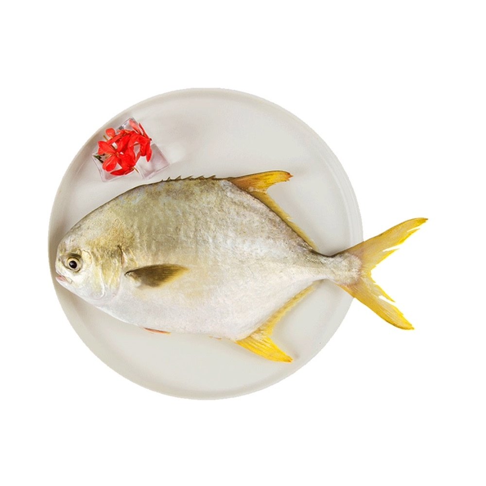 天猫超市翔泰海南国产金鲳鱼净重200g
