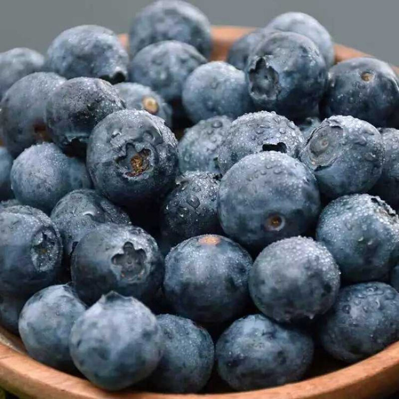 佳沃山地蓝莓约125g美味美味精选优质当季新鲜水果 - 天猫超市