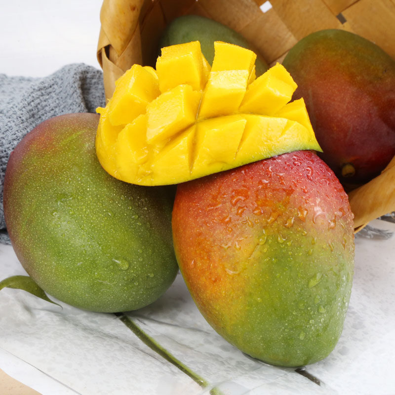 四川攀枝花芒果彩虹芒吉禄芒2斤装单果150g起新鲜水果时令芒    9.9元