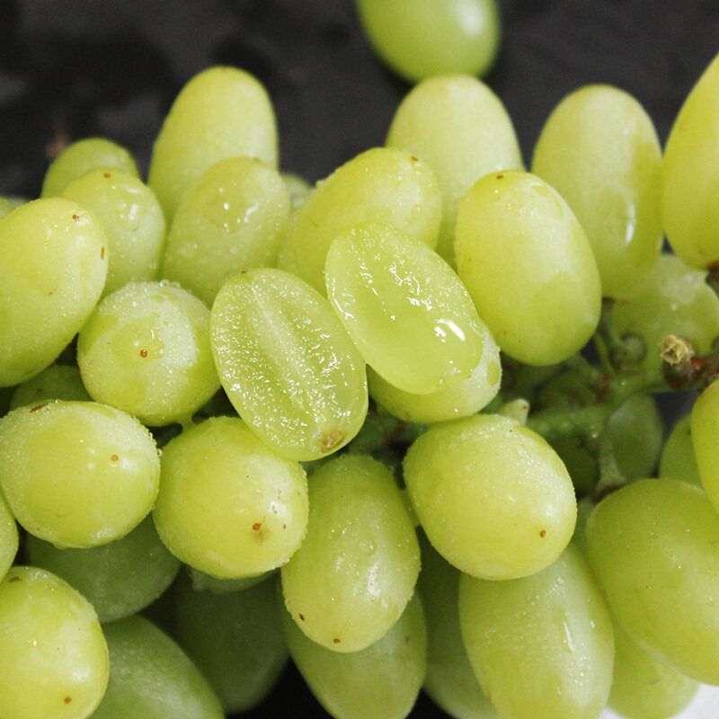 新疆无核白葡萄葡萄无籽马奶提子2斤装新鲜水果葡萄