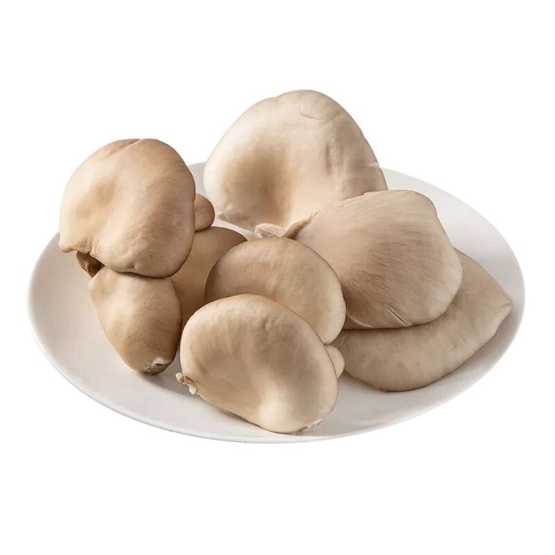 平菇300g新鲜松茸