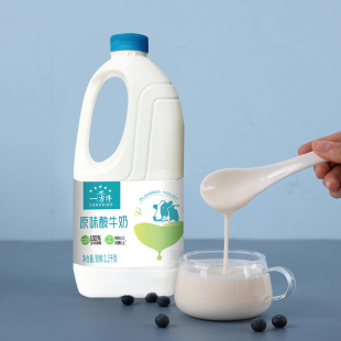 得益 一方牛酸奶桶装发酵乳酸奶家庭实惠装风味酸牛奶