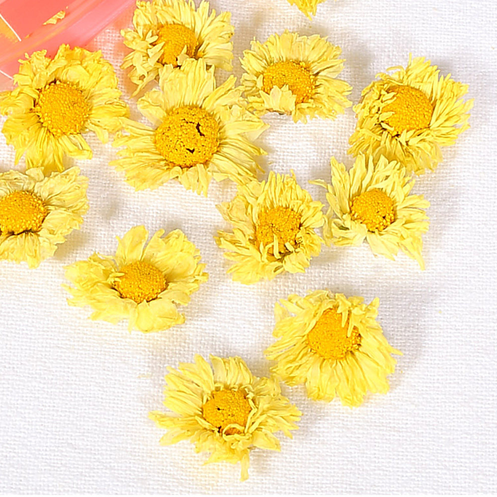 贡苑 茶叶 花草茶 桐乡胎菊花 杭白菊 菊花干 胎菊花茶150g/袋